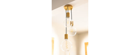 Brass Edison Pendant Light