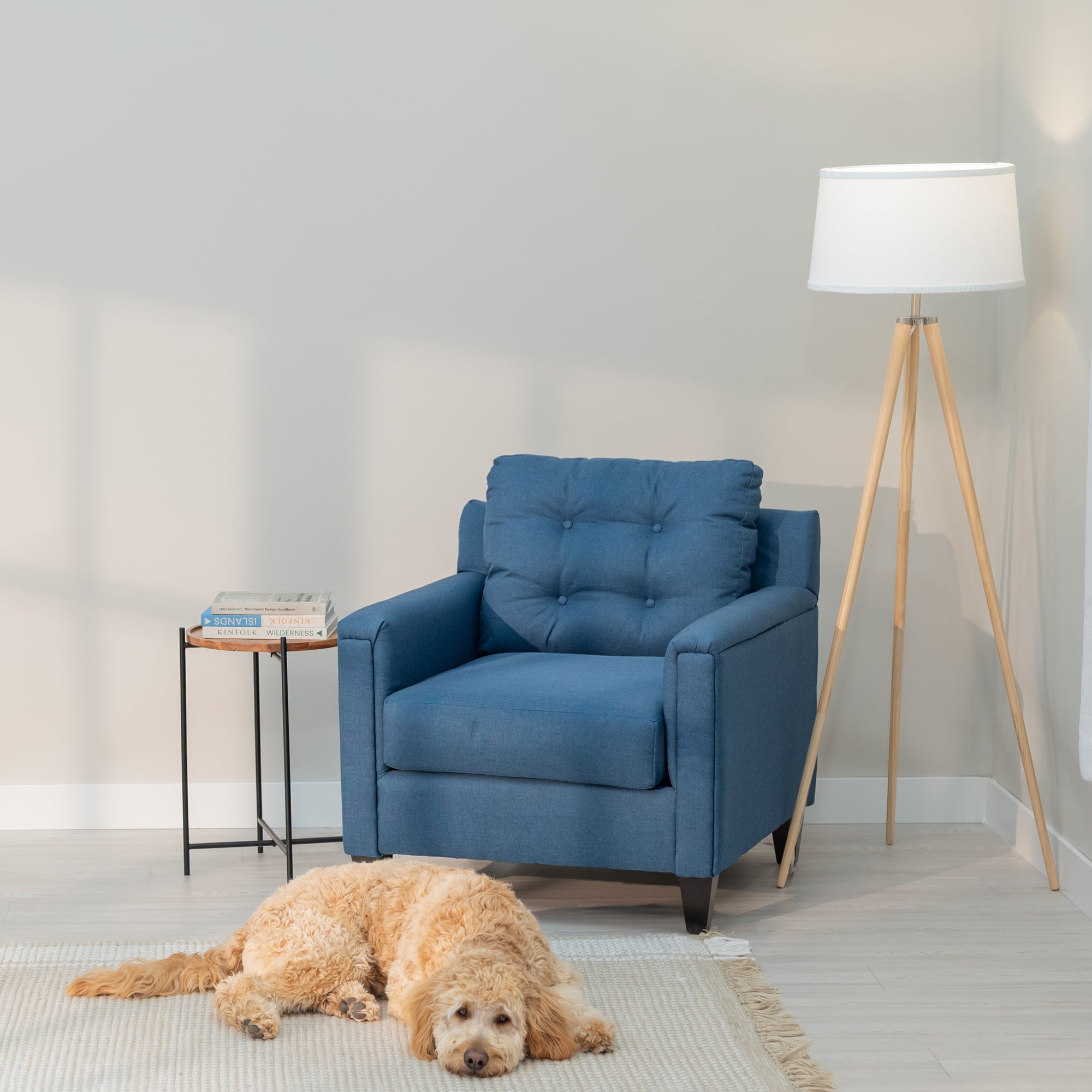 A denim blue accent chair with clean modern lines and a tufted rectangular  bag sits in a generic living room. In fornt of the chair A golden doodle dog lays on a comfy looking rug.