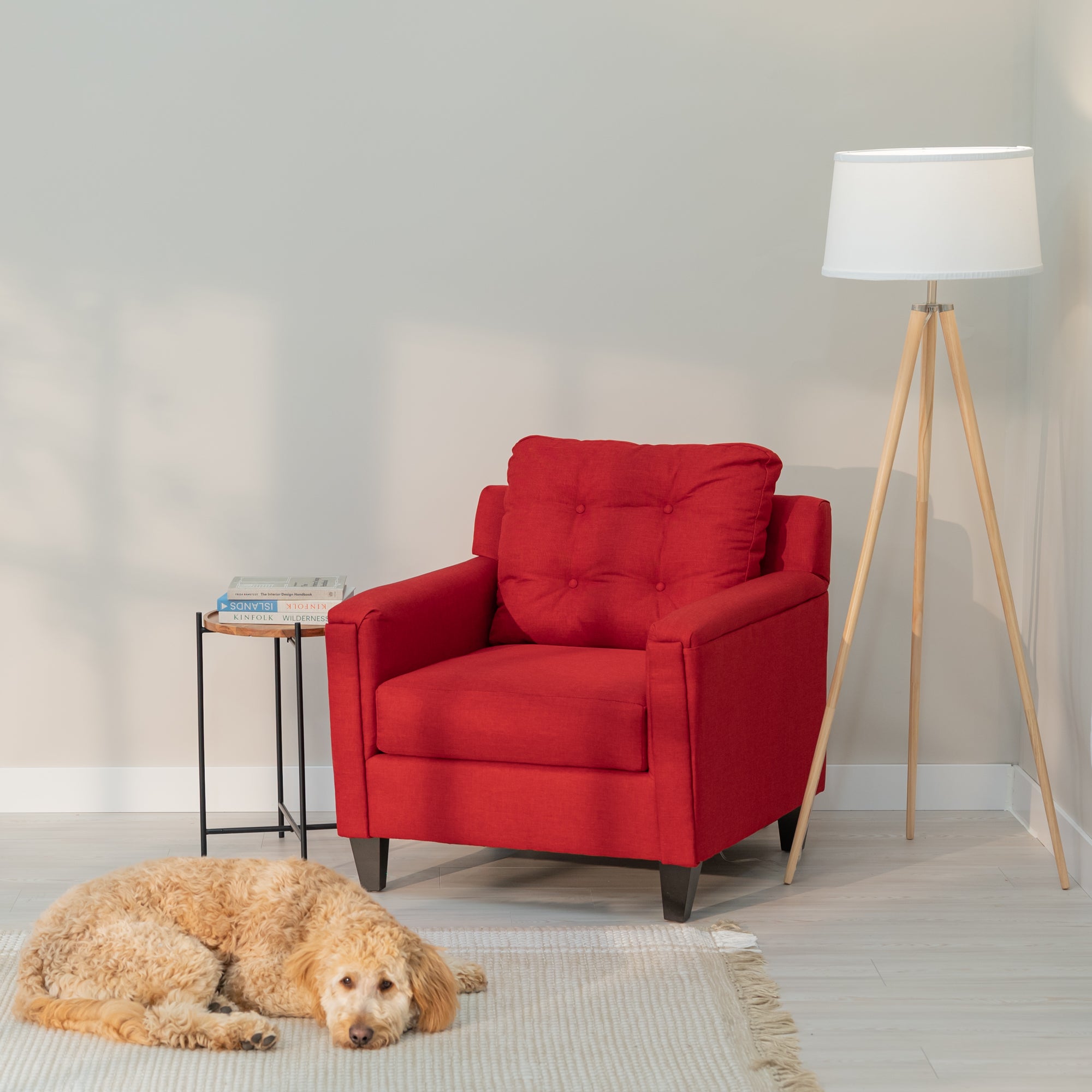 A red accent chair with clean modern lines and a tufted rectangular  bag sits in a generic living room. In front of the chair A golden doodle dog lays on a comfy looking rug.